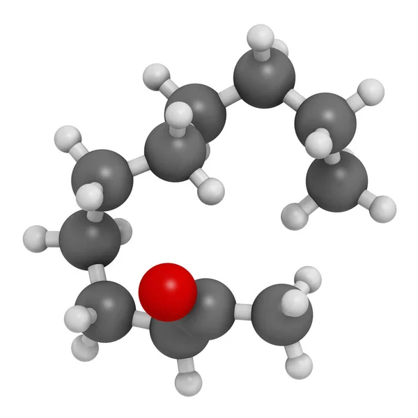 Methyl Nonyl Ketone Undecanone 기피제 렌더링 원자는구 표현되어 있습니다 — 스톡 사진