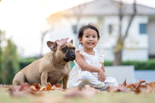 Een Schattig Klein Thais Meisje Zit Met Haar Franse Bulldog — Stockfoto