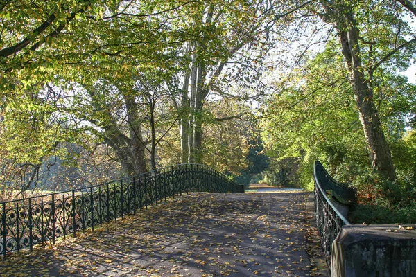 Eine Nahaufnahme Der Brücke Die Von Beiden Seiten Von Bäumen — Stockfoto