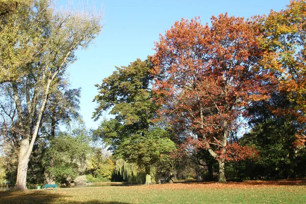 Krásný Výhled Prázdný Park Pestrobarevnými Stromy — Stock fotografie