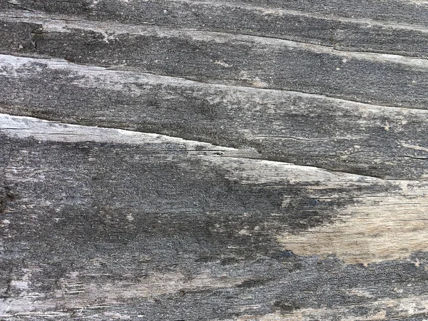 Close Uma Textura Árvore Madeira — Fotografia de Stock