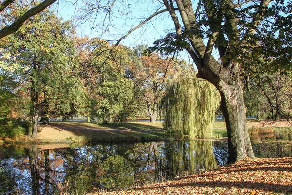 Splendida Vista Sul Fiume Con Alberi — Foto Stock