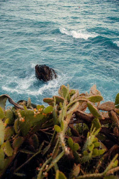 Mar Plantas Frondosas Verdes Costa Genova Itália — Fotografia de Stock