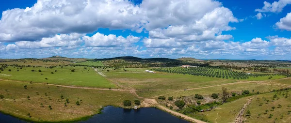 Vista Aerea Paesaggio Campagna Alentejo Portogallo — Foto Stock