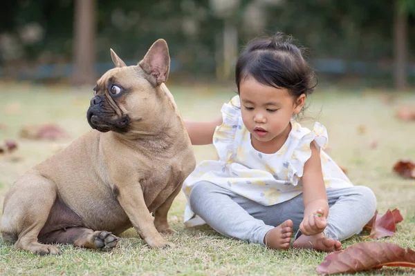 Een Schattig Klein Thais Meisje Zit Met Haar Franse Bulldog — Stockfoto