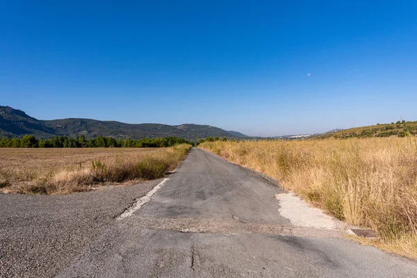 Une Route Asphaltée Entourée Champs Sur Fond Ciel Bleu — Photo