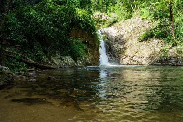 Ein Schöner Fließender Wasserfall Einem Park — Stockfoto