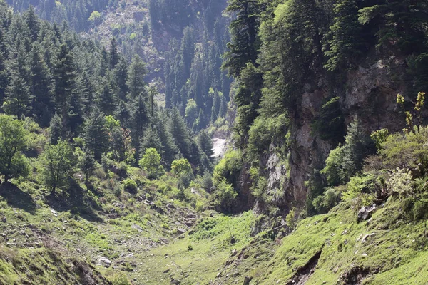 Uma Vista Natural Árvores Verdes Montanhas Rochosas Campo — Fotografia de Stock