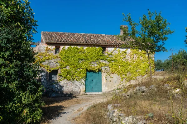 Vue Extérieure Bâtiment Abandonné Dans Nature Sauvage — Photo