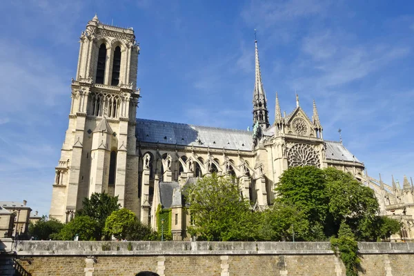 Paris Francja Czerwca 2015 Południowa Fasada Katedry Notre Dame Czwartej — Zdjęcie stockowe