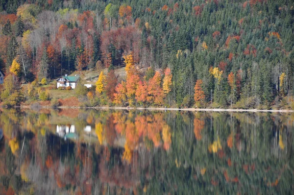 Herbstlaub Altaussee Der Steiermark Salzkammergut Österreich — Stockfoto