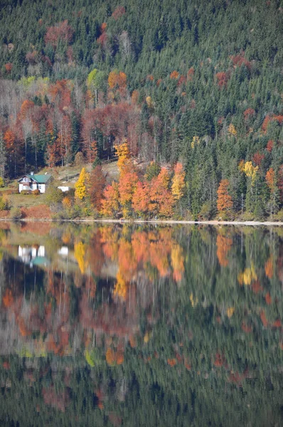 Podzimní Listí Jezera Altaussee Štýrsku Salzkammergut Rakousko — Stock fotografie
