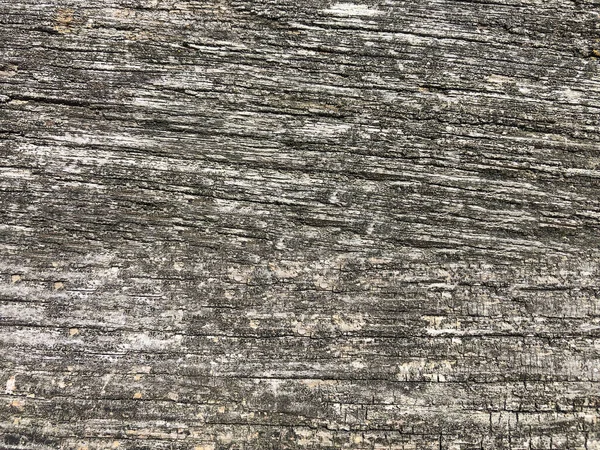 Close Uma Textura Madeira — Fotografia de Stock
