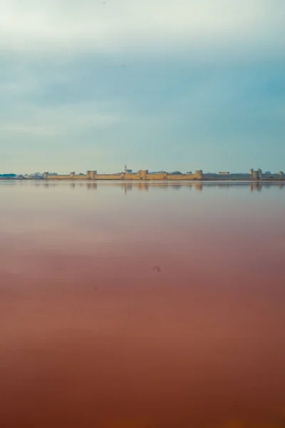 Grau Roi Francia Estrazione Del Sale Camargue Fleur Sel Bassino — Foto Stock