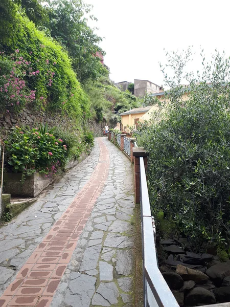 Beau Sentier Dans Verdure Gênes — Photo