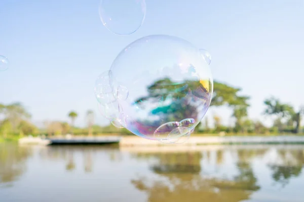 Algumas Bolhas Sabão Flutuantes Lago Parque — Fotografia de Stock