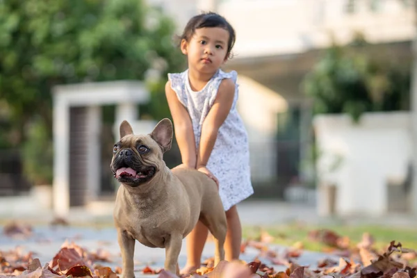 Een Schattig Klein Thais Meisje Spelen Met Haar Franse Bulldog — Stockfoto