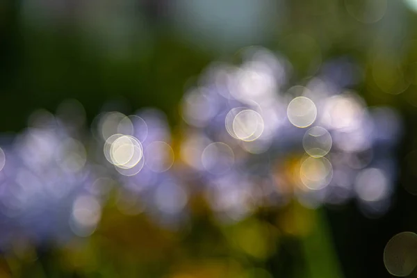 Faros Lente Luces Bokeh Borrosas Blanco Para Diseño Web Fondos — Foto de Stock