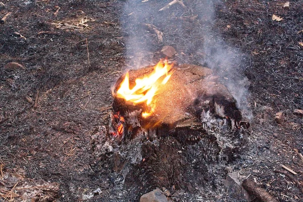 Primo Piano Fuoco Fumo Flagstaff Arizona Durante Giorno — Foto Stock