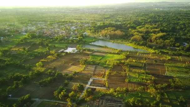 Vista Aerea Della Città Della Capitale Dello Stato Del Paesaggio — Video Stock