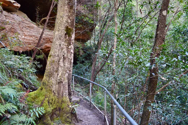 Μια Θέα Ενώ Παίρνετε Grand Canyon Walk Στο Blackheath Στα — Φωτογραφία Αρχείου