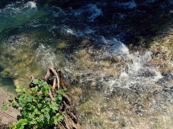 Une Vue Sur Une Rivière Entourée Arbres Verdure — Photo