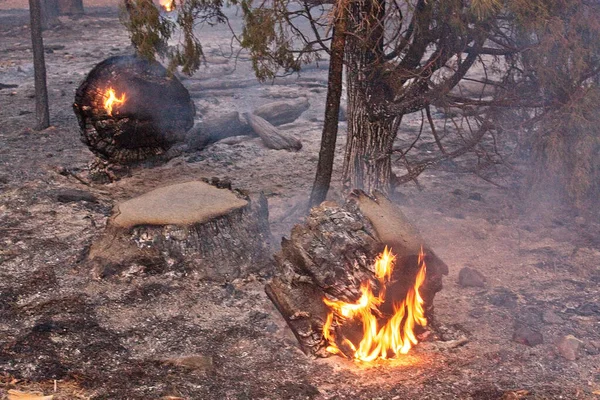 Gros Plan Feu Fumée Flagstaff Arizona Pendant Lumière Jour — Photo