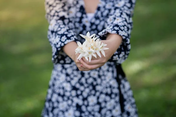Young Female Holding Fragrance Indian Cork Field — Stock Photo, Image