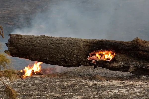 Gros Plan Feu Fumée Flagstaff Arizona Pendant Lumière Jour — Photo