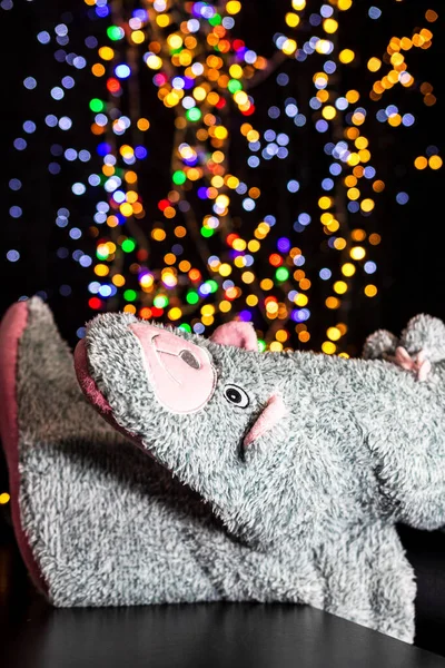 Een Verticale Shot Van Voeten Dragen Winter Kerstsokken Tegen Een — Stockfoto