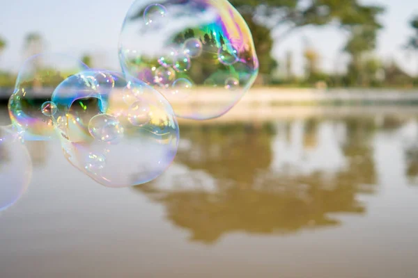 Een Paar Zwevende Zeepbellen Bij Het Meer Een Park — Stockfoto