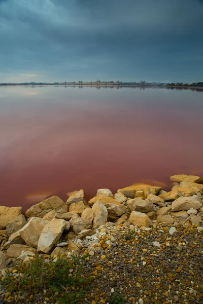 Grau Roi Francia Estrazione Del Sale Camargue Fleur Sel Bassino — Foto Stock