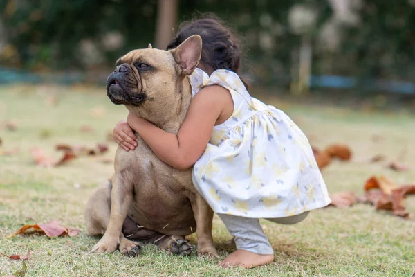 Een Schattig Klein Thais Meisje Spelen Met Haar Franse Bulldog — Stockfoto