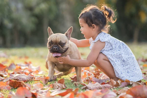 Een Schattig Klein Thais Meisje Spelen Met Haar Franse Bulldog — Stockfoto