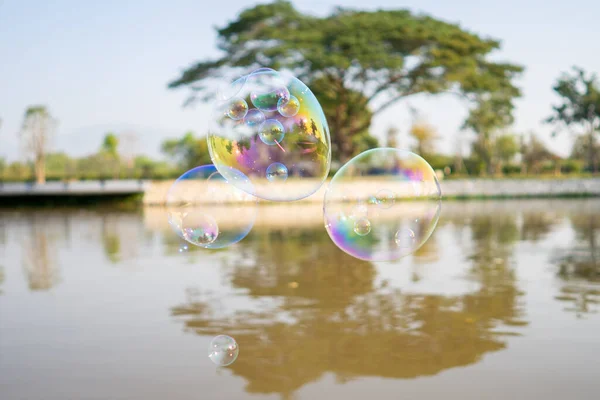 Een Paar Zwevende Zeepbellen Bij Het Meer Een Park — Stockfoto