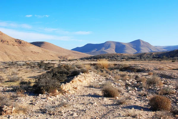 Wadi Negev Israel Paisagem Deserto Clima Seco Rochas — Fotografia de Stock