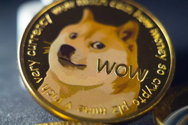 Gros Plan Vertical Visage Chien Whit Crypto Monnaie Illuminé Par — Photo