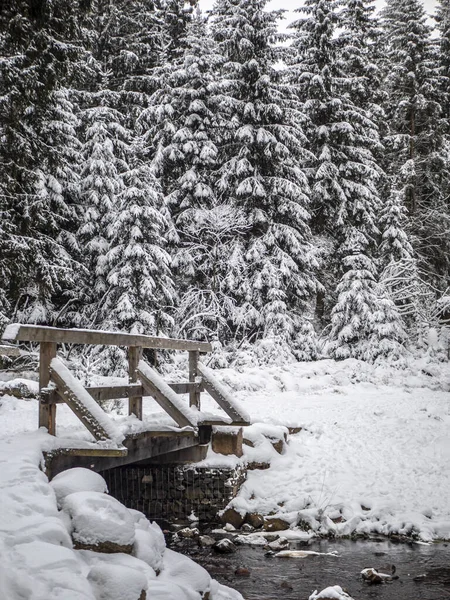 背後にモミの木が茂る雪の森 水面上に木造建築 — ストック写真