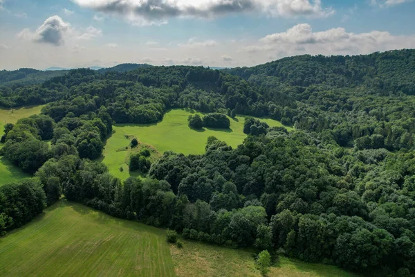 Una Vista Aerea Mozzafiato Fitti Alberi Scuri Che Coprono Vivaci — Foto Stock