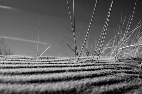 Grayscale Shot Coastal Dunes Texture — Stock Photo, Image