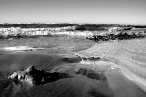 Grayscale Shot Sandy Seashore — Stock Photo, Image