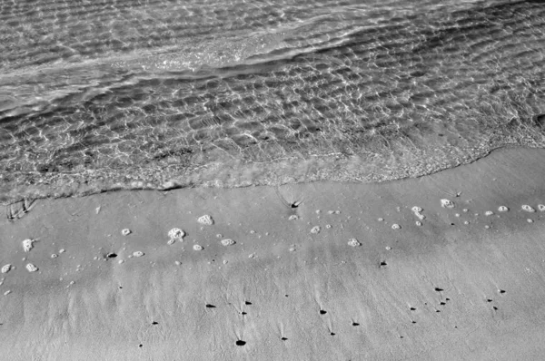 Eine Graustufenaufnahme Einer Sandigen Meeresküste — Stockfoto