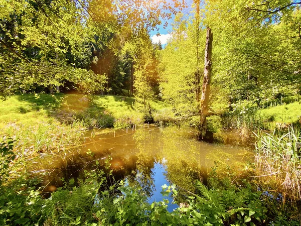 Lac Azur Avec Les Arbres Arrière Plan Sous Ciel — Photo