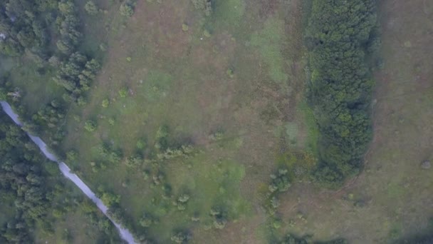 Vanuit Lucht Uitzicht Het Bos Bergen — Stockvideo