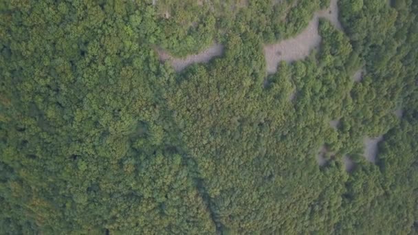 Akdeniz Devletinin Başkenti Olan Ormanın Havadan Görünüşü — Stok video