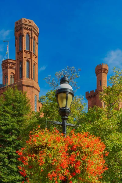 ワシントンDcのスミソニアン研究所博物館の垂直ショットと前景の植物と街灯 — ストック写真
