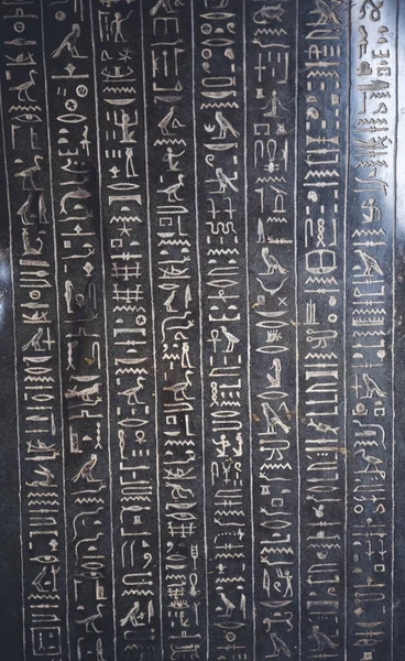 이집트의 박물관에 이집트의 예술품 — 스톡 사진