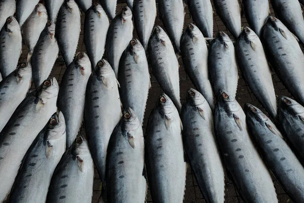 Крупним Планом Знімок Сирої Риби Продовольчому Ринку — стокове фото