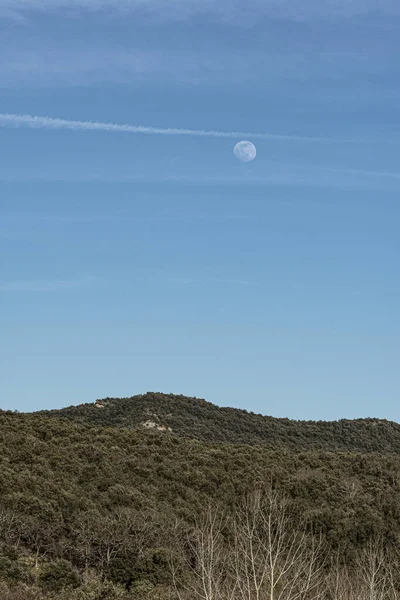 Eine Vertikale Aufnahme Eines Grünen Baumbestandenen Hügels Unter Einem Blassblauen — Stockfoto