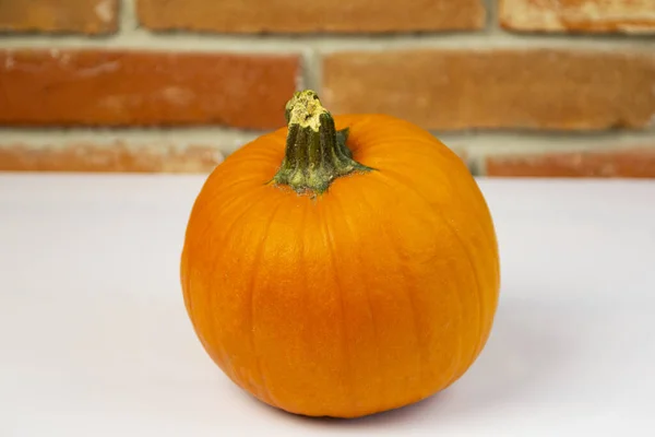 Una Pequeña Calabaza Una Mesa Blanca Con Una Pared Ladrillo —  Fotos de Stock